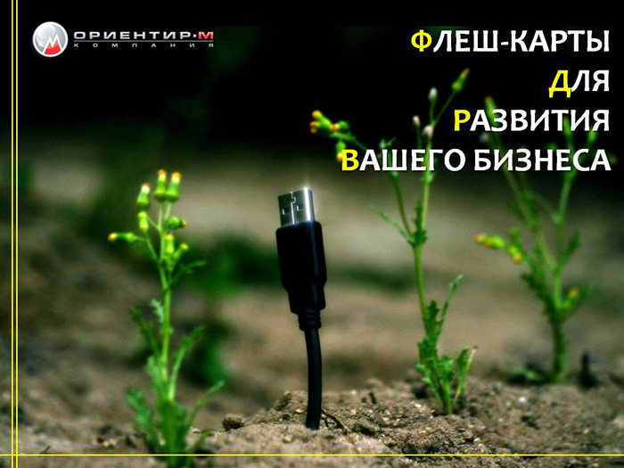 Слайд1 Слайд1