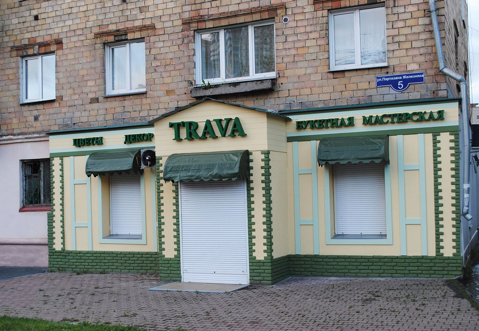 трава6 трава6