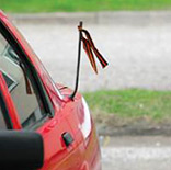 ������������ ��������